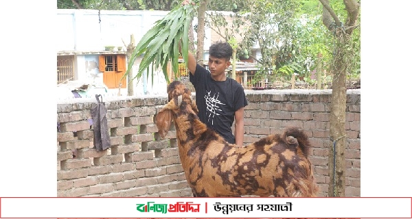 দৈনিক ১০০ টাকার খাবার খায় ১১০ কেজির বাদশা!