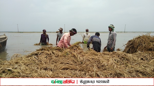 এক হাজার টাকাতেও মিলছে না ৪০০ টাকার শ্রমিক