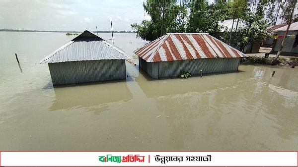 কুড়িগ্রামের নিম্নাঞ্চল প্লাবিত,ফের ভোগান্তির মুখে মানুষজন