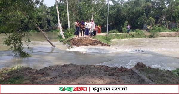 কালিহাতীতে পানি উন্নয়ন বোর্ডের বাঁধ ভেঙে ১০ গ্রাম প্লাবিত