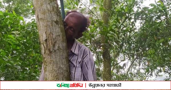 নিখোঁজের তিনদিন পর মিললো তাজুলের ঝুলন্ত লাশ