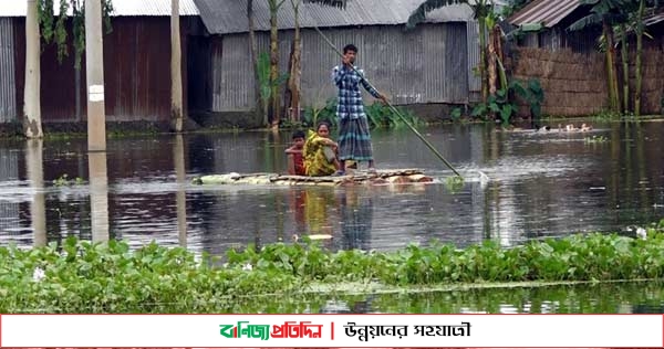 কুড়িগ্রামে বন্যায় ২০৬৩ হেক্টর ফসল পানির নিচে