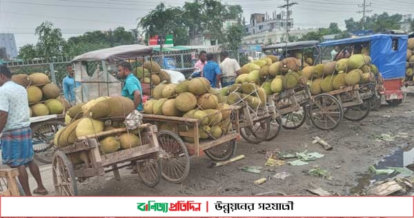 শ্রীপুরের কাঁঠাল যাচ্ছে বিদেশ