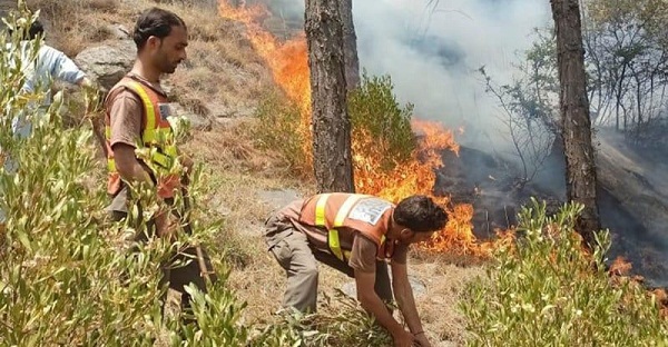 পাকিস্তানে ছড়িয়ে পড়ছে দাবানল