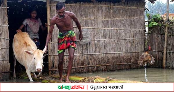 সিলেটে বন্যায় প্রাণিসম্পদে ১২ কোটি টাকার ক্ষতি