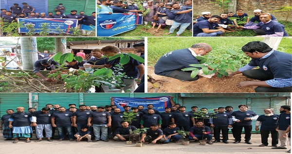 ফেভিকল চ্যাম্পিয়ন্স’ ক্লাবের উদ্যোগে ৬ শতাধিক বৃক্ষ রোপণ