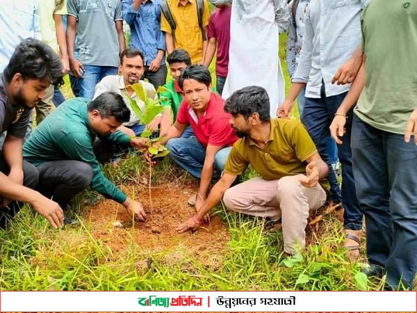 কুবিতে ছাত্রলীগের বৃক্ষরোপণ কর্মসূচি 