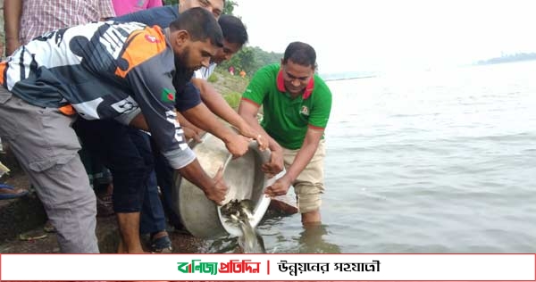 চাঁপাইনবাবগঞ্জে এসএসসি-৭ ব্যাচের মাছের পোনা অবমুক্ত