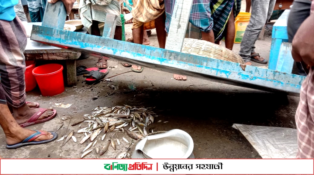 মাছ ব্যবসায়ীদের মাছ বোঝাই ডালা ফেলে দিল পুলিশ সদস্য!