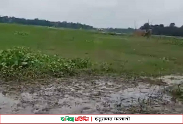 বর্ষার  পানি বৃদ্ধি না হওয়ায় হুমকির মুখে কৃষিখাত