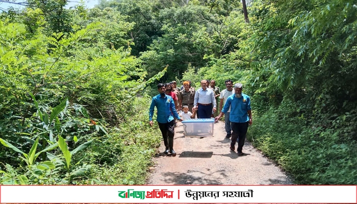 সীতাকুণ্ড ইকো পার্কে অবমুক্ত হলো অজগরের ১১টি বাচ্চা