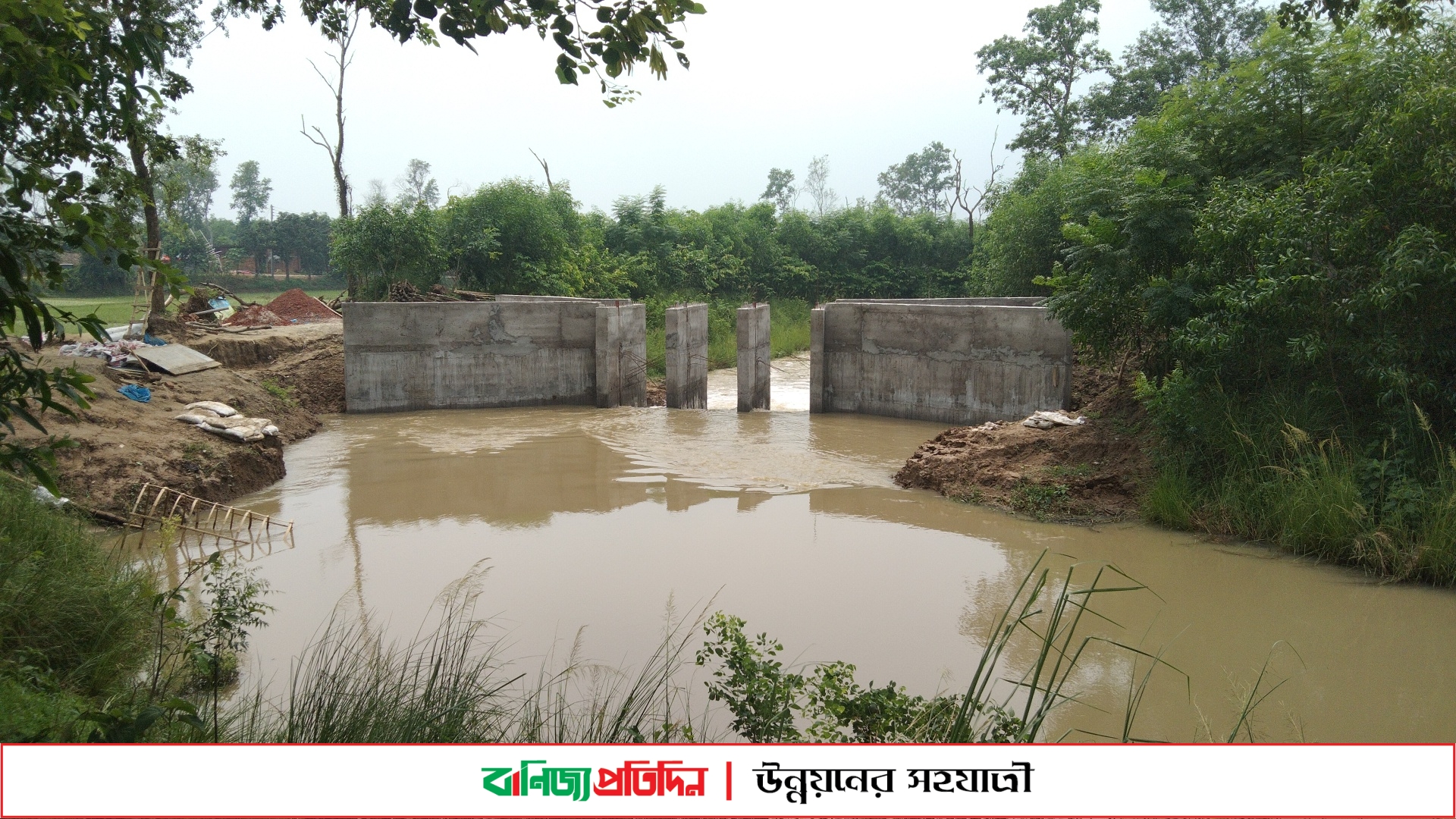 অবৈধ বাঁধের হুমকিতে ১০ হাজার বিঘা জমির ধান