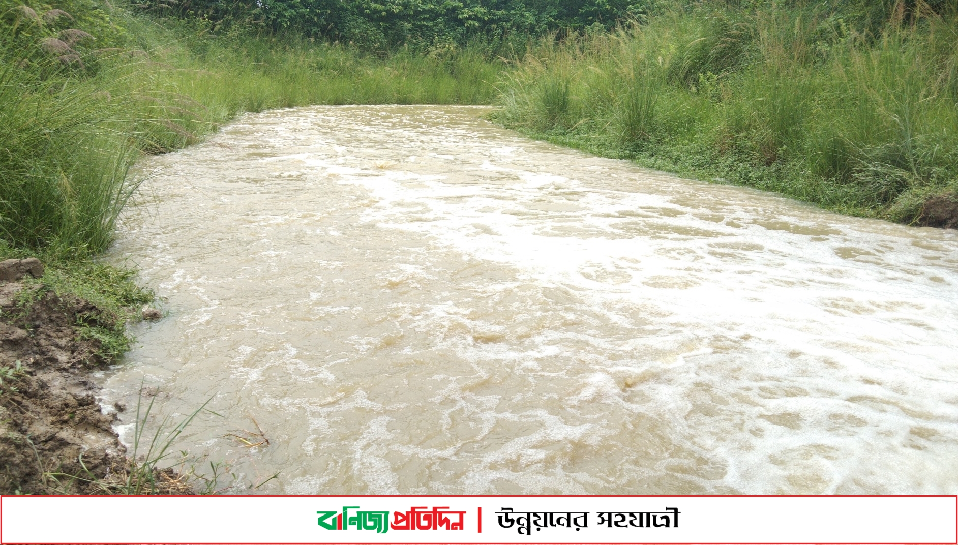 জলাবদ্ধ ধানের পানি নামাতে গিয়ে স্রোতে ভেসে বৃদ্ধের মৃত্যু