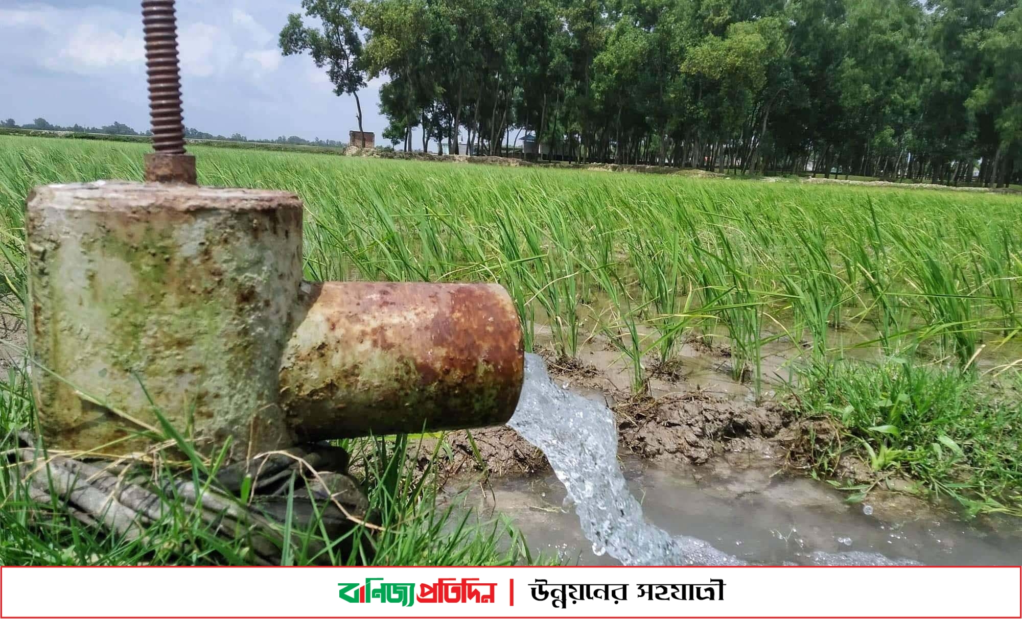 রংপুরে সৌরবিদ্যুৎ চালিত সেচ ব্যবস্থার দিকে কৃষকেরা