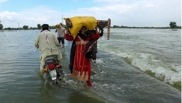 পাকিস্তানে বন্যায় ৯১৩ জনের মৃত্যু