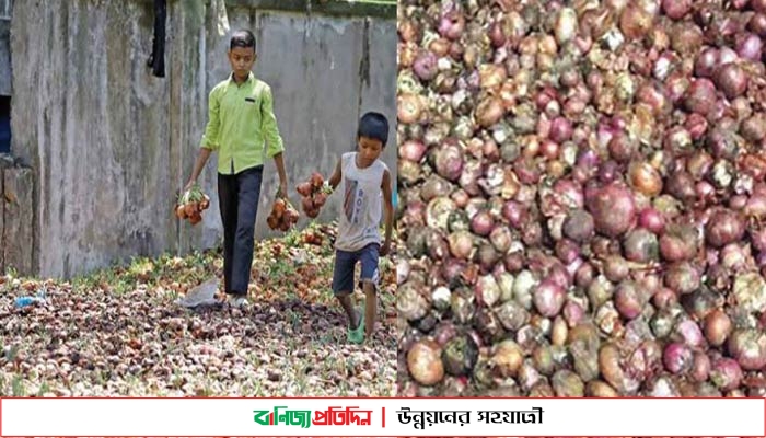 চট্টগ্রামে টিসিবির ২শ টন পচা পেঁয়াজের গন্ধে অতিষ্ট বাসিন্দারা