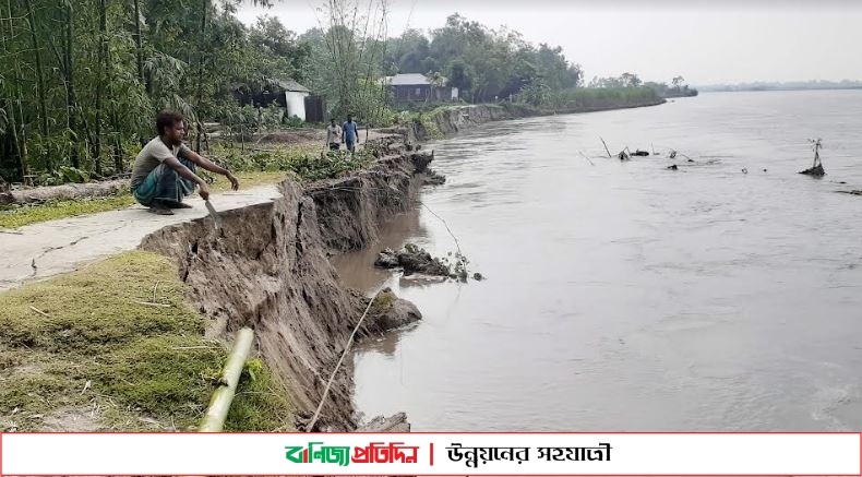 কুড়িগ্রামের ধরলা নদীর ভাঙনে হুমকীর মুখে তিন শতাধিক পরিবার