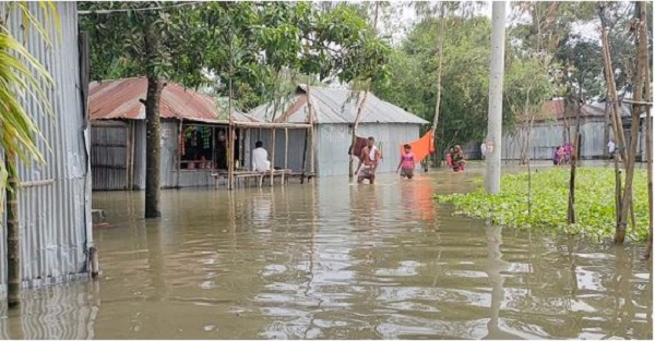 তিস্তাপাড়ে ফের বন্যা