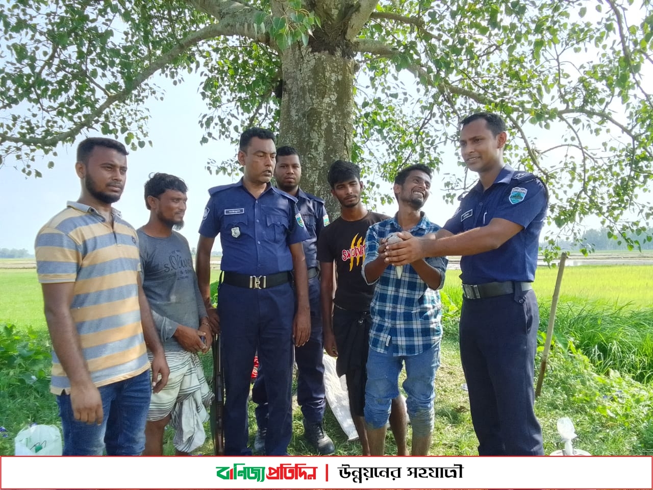 বগুড়ায় নতুন জীবন পেল ৫০ ঘুঘু