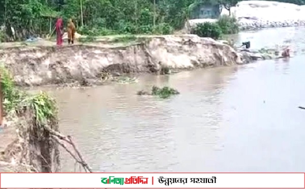 সিরাজগঞ্জে গুচ্ছগ্রামের বহু ঘর যমুনা গর্ভে বিলীন