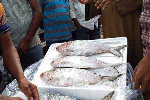 ভারতে ইলিশ রপ্তানির মেয়াদ বাড়লো