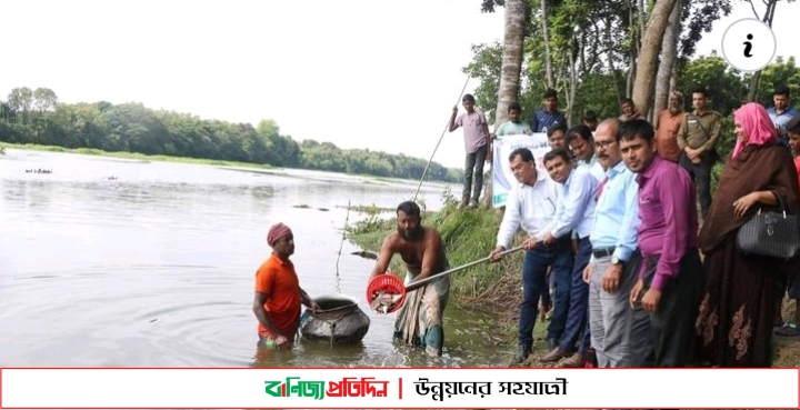 শ্রীপুরে নদীতে মাছের পোনা অবমুক্ত