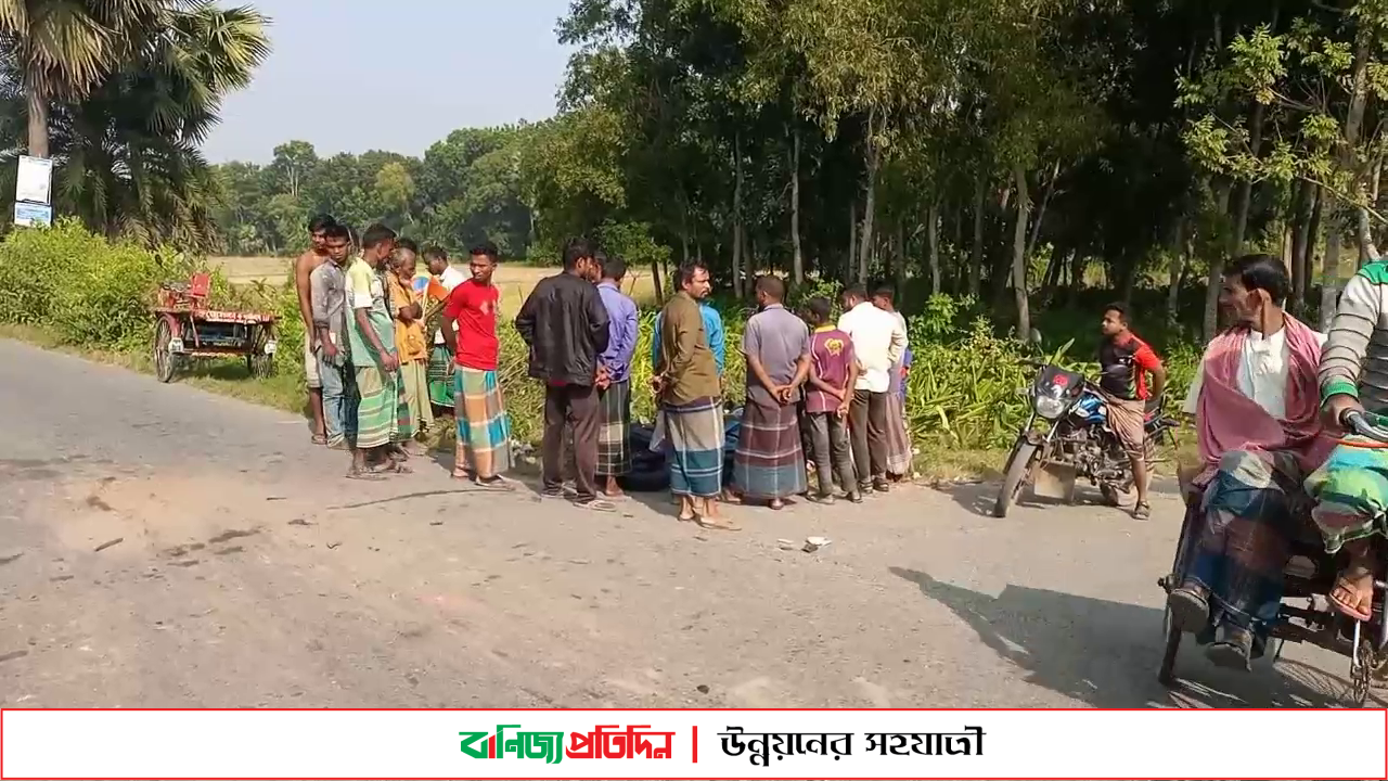 ফরিদপুরে সড়ক দূর্ঘটনায় মোটরসাইকেল চালক নিহত