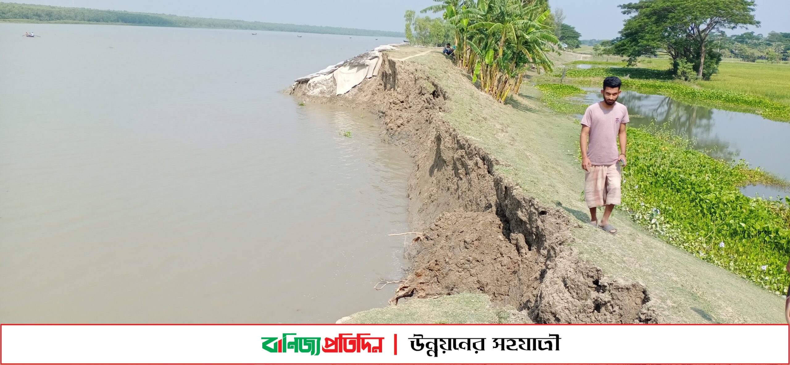 কলাপাড়ায় পাউবোর জালালপুর বেড়িবাঁধ বিলীনের শঙ্কা