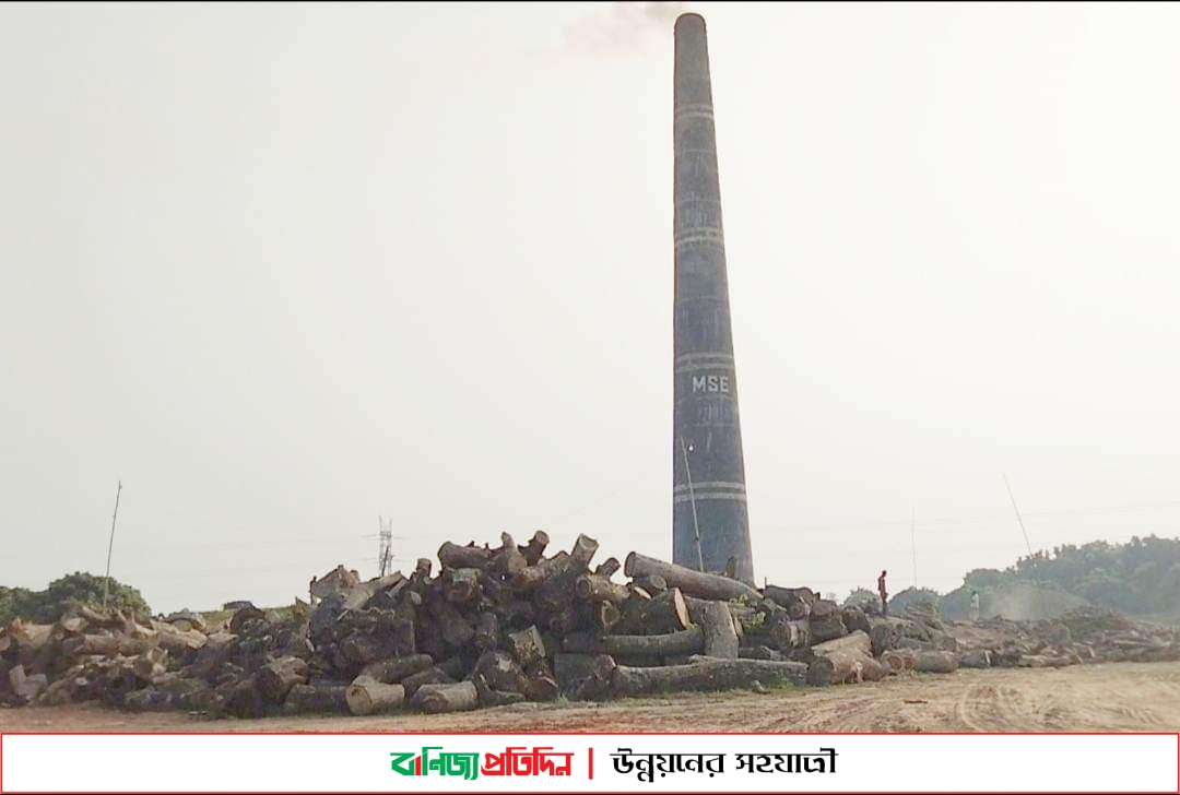 পাবনায় ইট ভাটায় পোড়ানো হচ্ছে কাঠ, হুমকির মুখে পরিবেশ