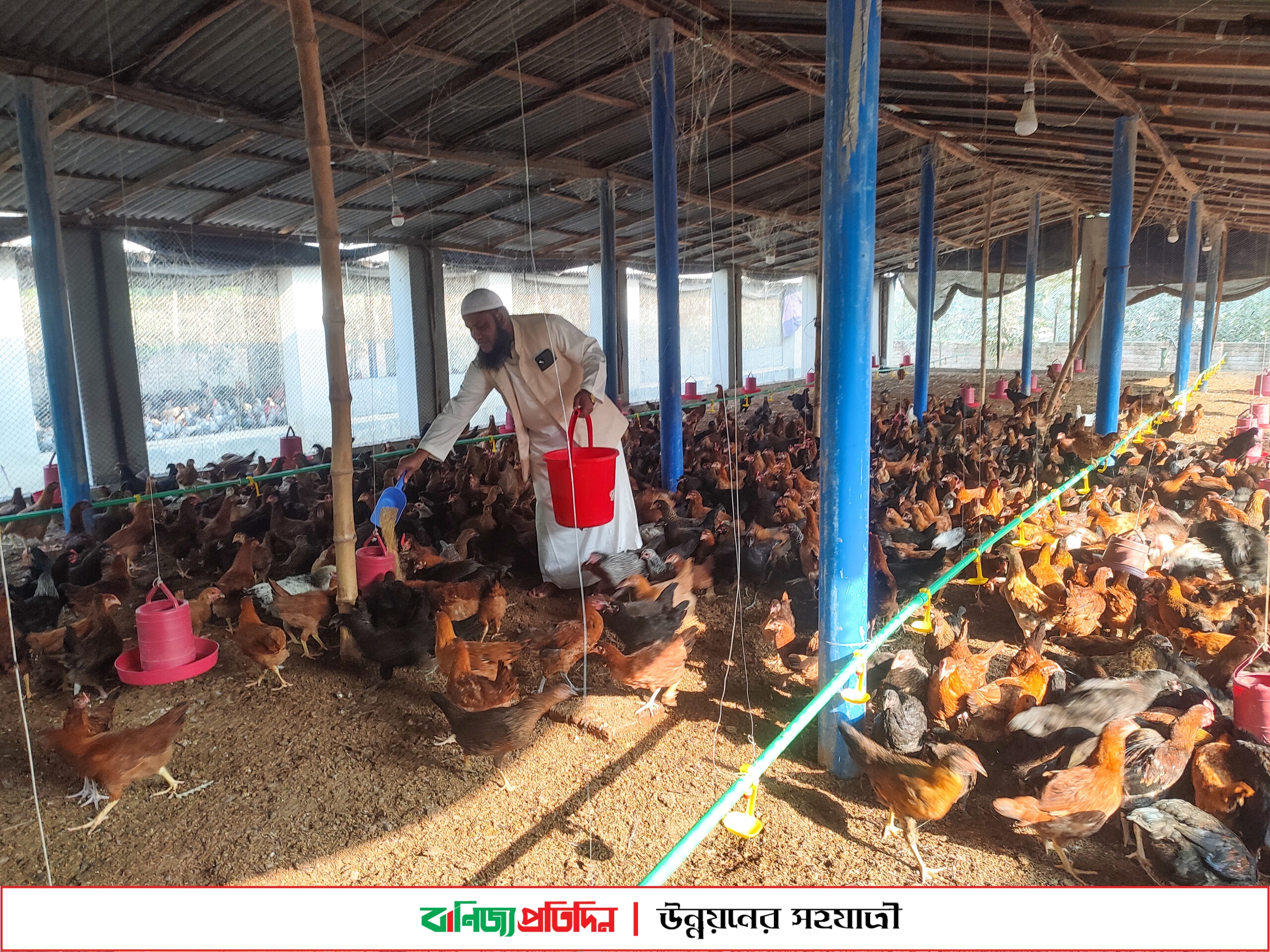 ইউটিউব দেখে সফল মুরগির খামারি প্রবাসী মনিরুজ্জামান