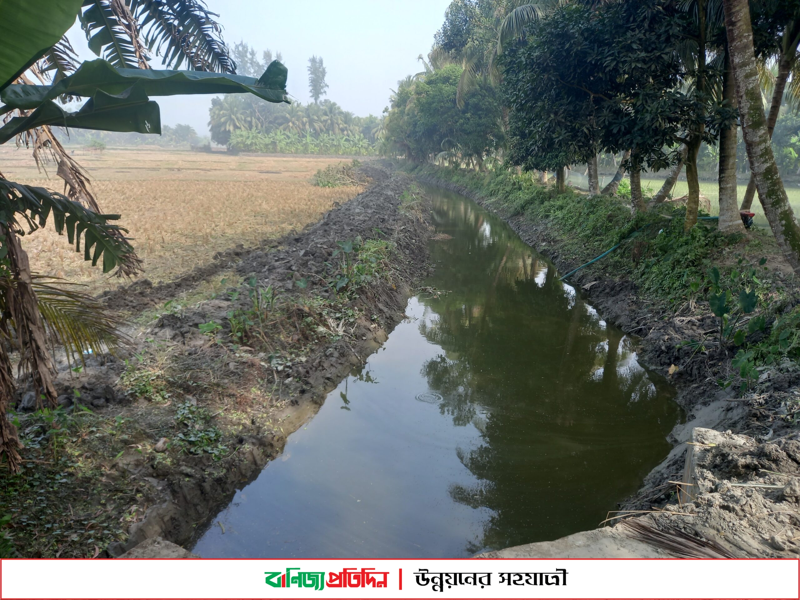 খাল খনন করে প্রশংসায় ভাসছেন ইউপি সদস্য শাহাবুদ্দিন