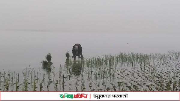 কনকনে শীতে কাঁপছে কুড়িগ্রামবাসী