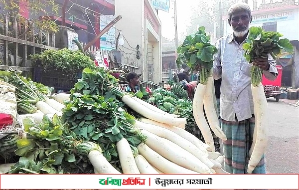 রায়পুরে কাঁচা সবজির দামে স্বস্তি নেই