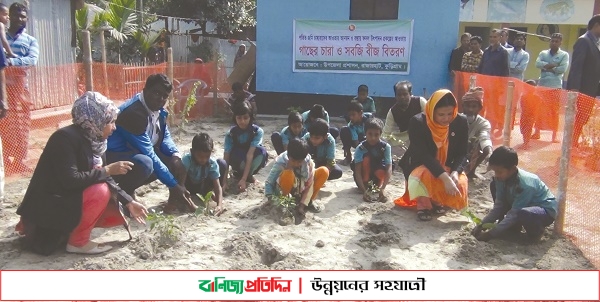 আশ্রায়ণ প্রকল্প পরিবারদের বস্তায় ফসল উৎপাদনের উদ্যোগ