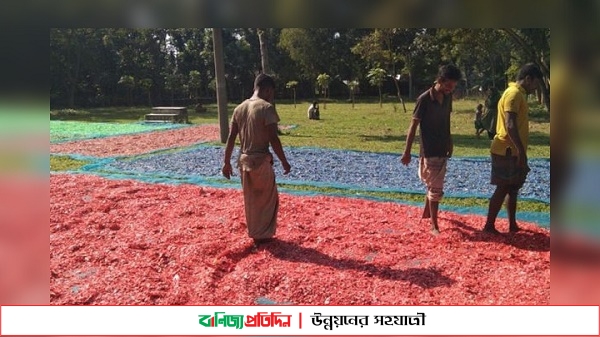 ফেলে দেওয়া প্লাস্টিক থেকে ফরিদুলের মাসিক আয় লাখ টাকা