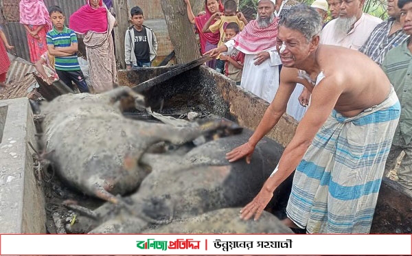 অগ্নিকাণ্ডে গরু ও দোকানঘর পুড়ে ক্ষয়ক্ষতি ৮ লাখ