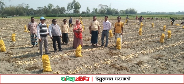 দিনাজপুরের আলু রপ্তানি হচ্ছে বিদেশে, খুশি কৃষকরা