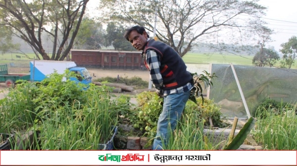 শেরপুরের সবুজ মিয়ার ছাদ বাগানে ১৫ জাতের সবজি