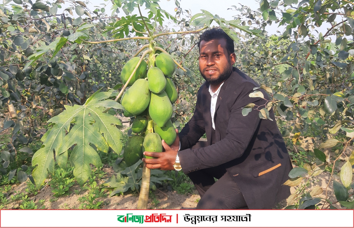 মিশ্র ফলের বাগানে সফল ঠাকুরগাঁওয়ের পারভেজ