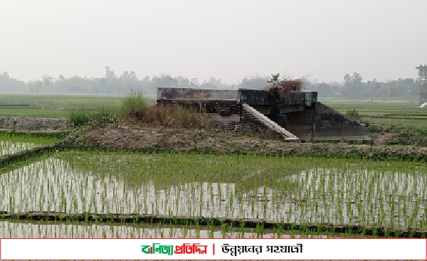 পরিত্যক্ত কালভার্ট, সন্ধ্যা নামলেই বসে মাদকের আড্ডা