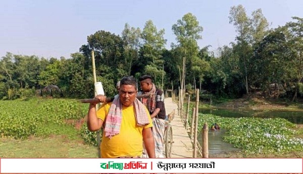 সিরাজগঞ্জে ইছামতী নদী পারাপারে ভরসা বাঁশের সাঁকো