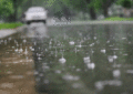 দেশের তিন বিভাগে গুঁড়ি গুঁড়ি বৃষ্টির আভাস