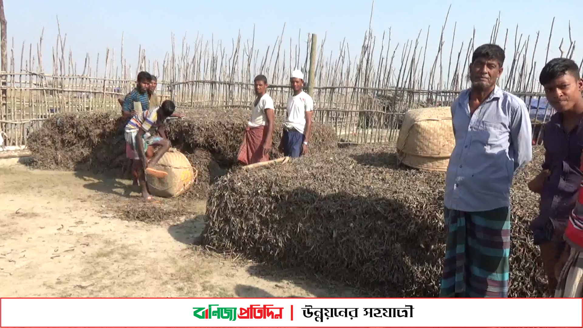 হাতিয়ায় শুঁটকি উৎপাদন লক্ষ্যমাত্রা অর্জন নিয়ে শংকা জেলেদের