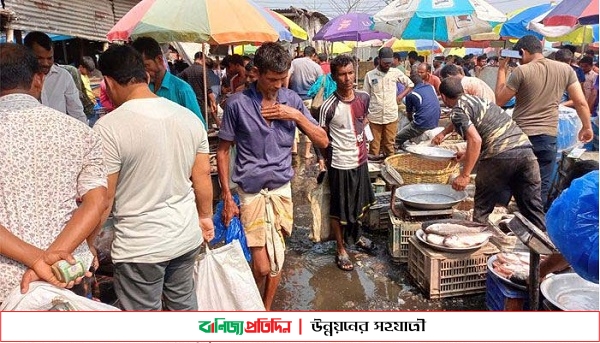 মৎস আড়তে কোটি টাকার উপরে মাছ বিক্রি হলেও উন্নয়নের ছোঁয়া লাগেনি