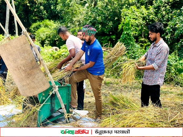 কৃষকের পাকা ধান ঘরে তুলে দিলো ছাত্রলীগ