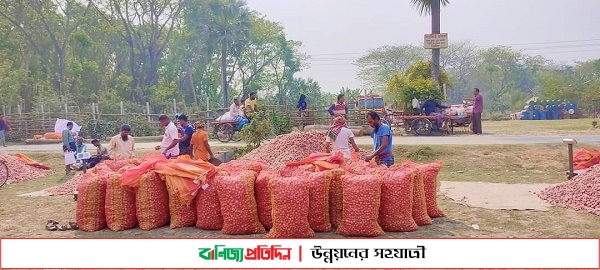 ফরিদপুরে কমতে শুরু করেছে পেঁয়াজের দর