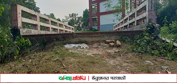 শ্রীপুরে ৫ বছরেও যে ব্রিজে উঠেনি কোন যানবাহন