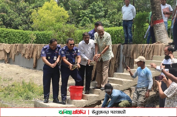 ১০৮টি সুন্দি কাছিম ইকোপার্কে অবমুক্ত