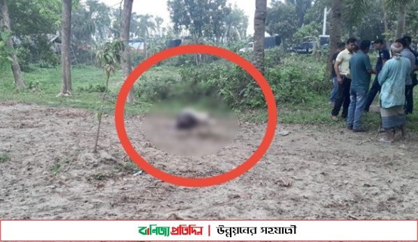 রাজশাহীতে হাত-পা বেঁধে ভ্যানচালককে জবাই করে হত্যা