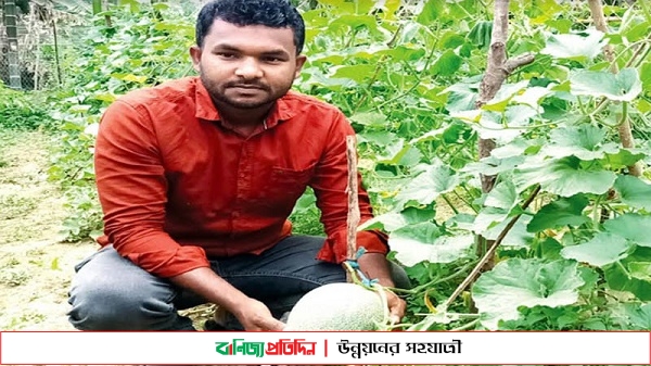 মরুভূমির সাম্মাম ফল চাষ হচ্ছে গারো পাহাড়ে